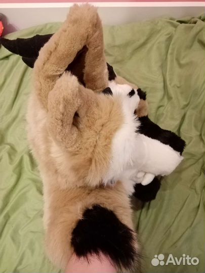 Фурсьют хэд