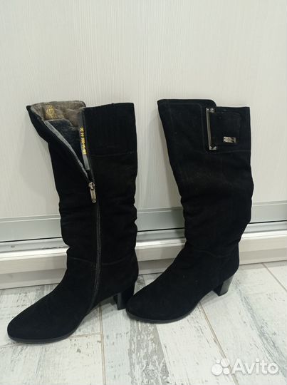 Сапоги женские, замшевые