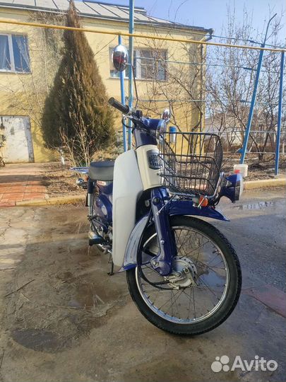 Honda super cub 50 efi