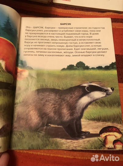 Рабочая тетрадь