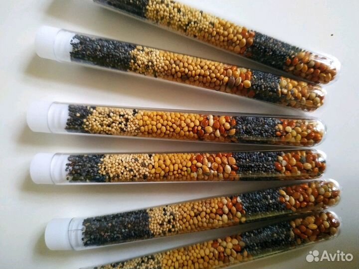 Корм для муравьев