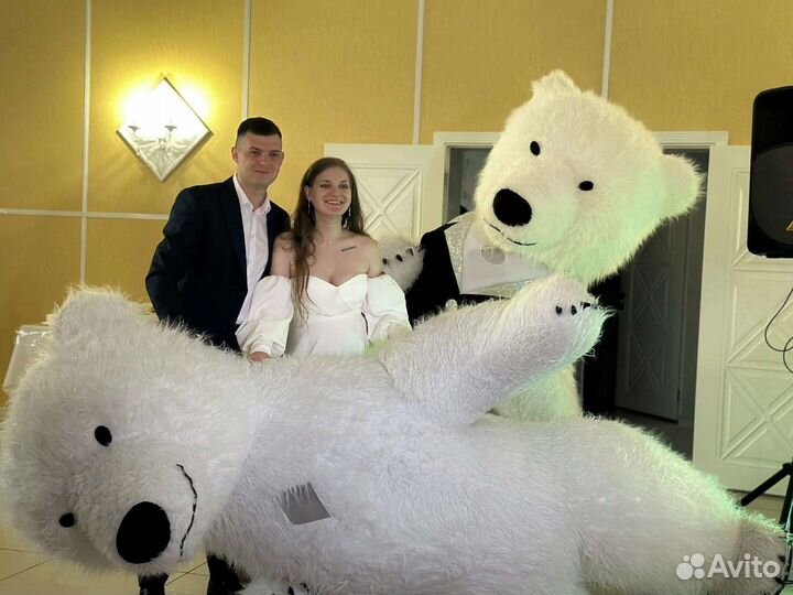 Белый Мишка