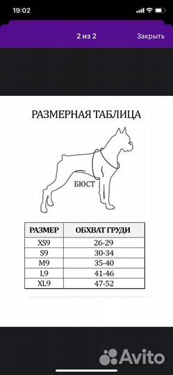 Шлейка для собаки