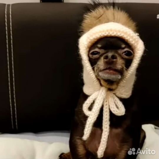 Шапка ушанка для чихуахуа, йорков, терьеров