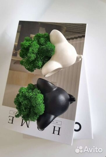 Кашпо слоник со стабилизированным мхом