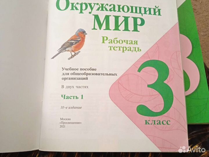 Рабочая тетрадь окружающий мир 3 класс