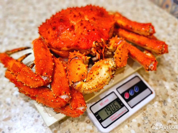 Краб Камчатский подарочный