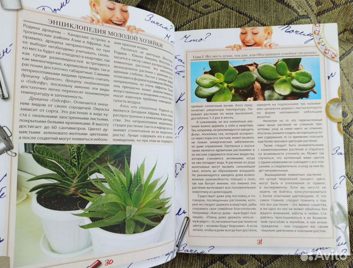 Книга Энциклопедия молодой хозяйки