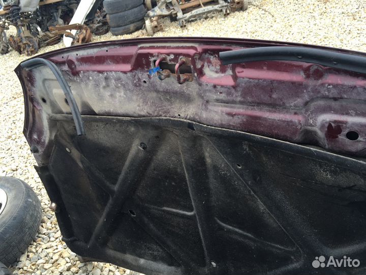 Капот cery Fora A21