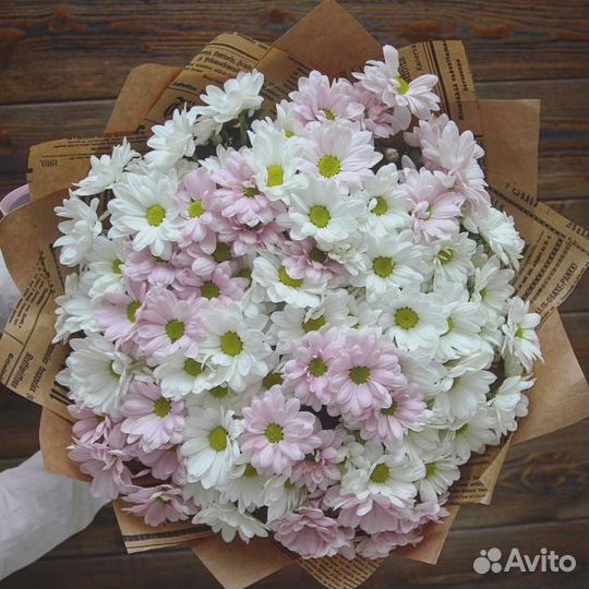 Кустовые хризантемы