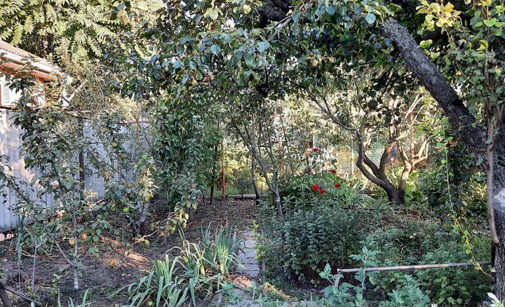 Участок 4,6 сот. (ИЖС)