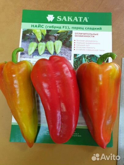 Профессиональные семена овощных культур