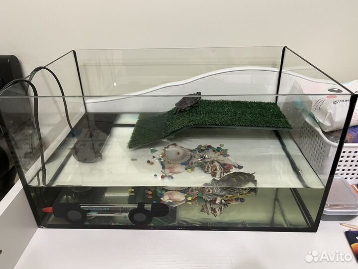 Аквариум для красноухой черепахи