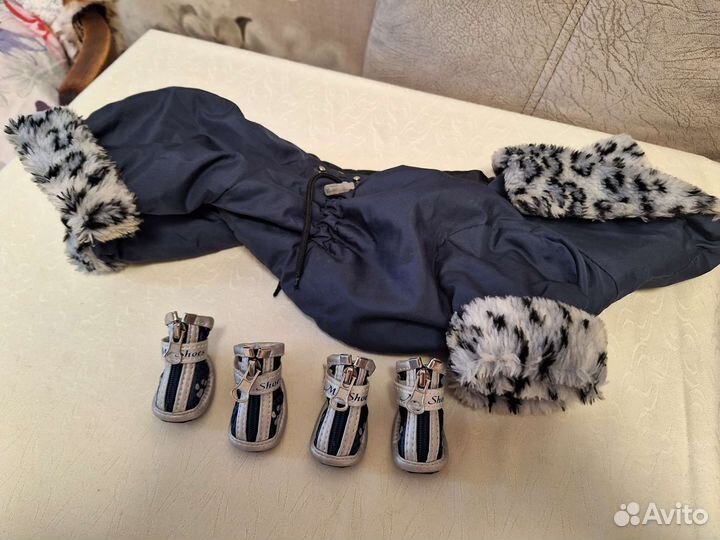 Костюм и ботинки для собаки