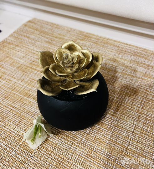 Суккуленты в кашпо Мох