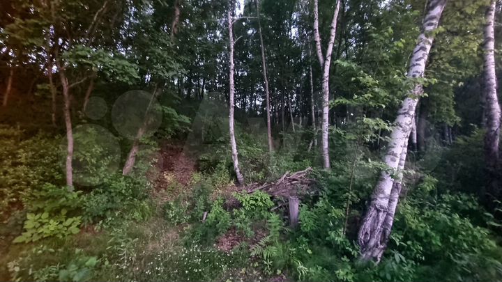 Участок 15 сот. (СНТ, ДНП)