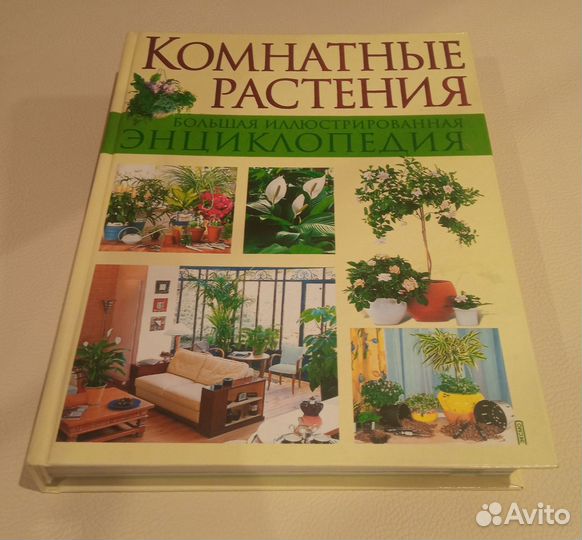 Комнатные растения энциклопедия