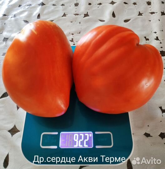 Семена томатов
