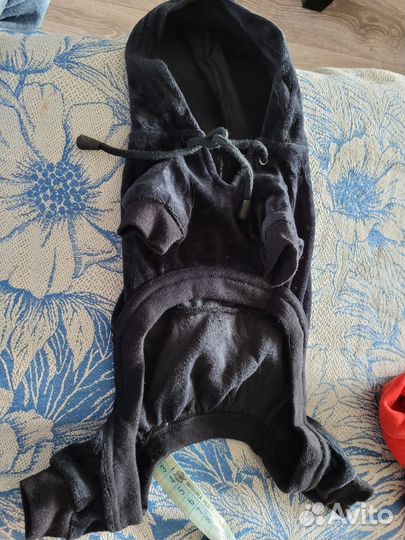 Одежда для собак мелких пород