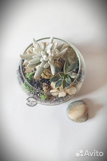 Флорариумы и минисадики с суккулентами