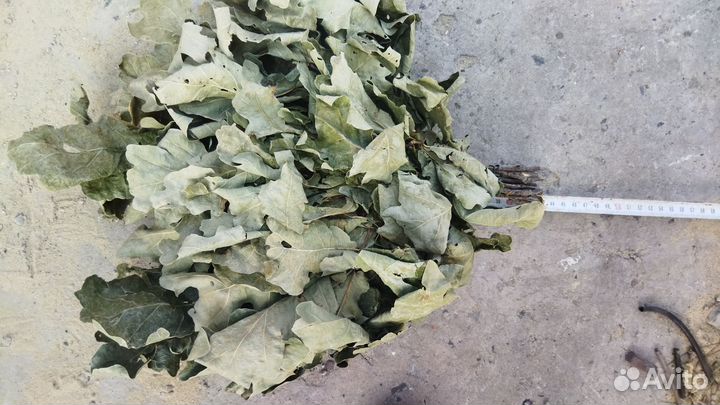 Веники для бани