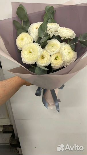 Ранункулюс цветы