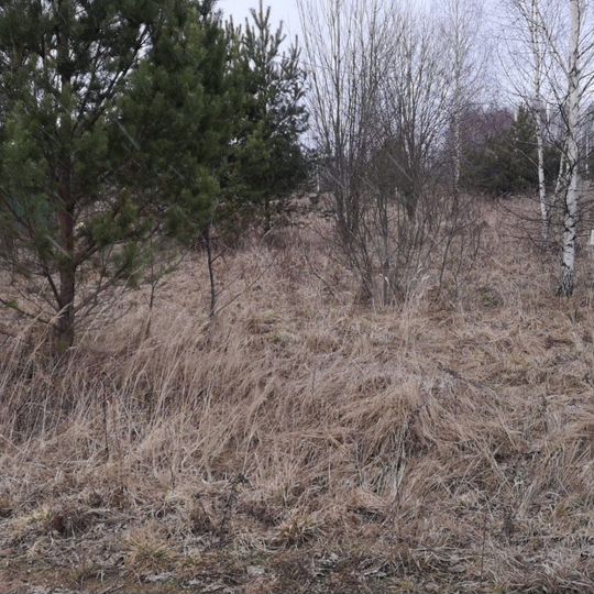 Участок 19 сот. (ИЖС)