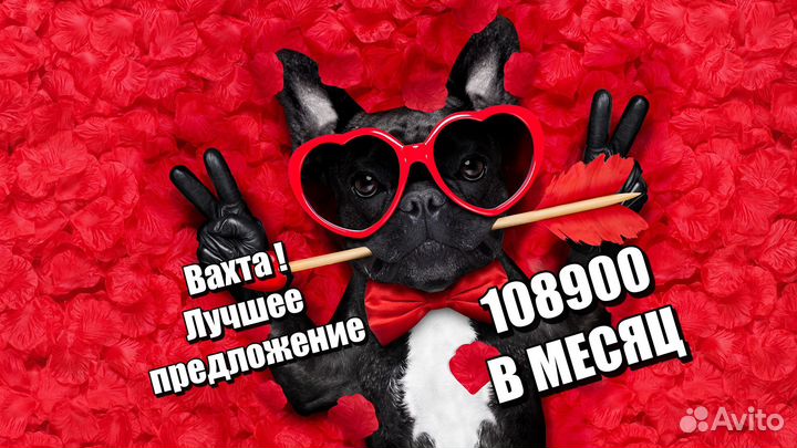 Упаковщики фасовщики вахта с питанием+жилье