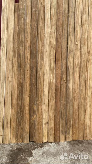 Горбыль липа