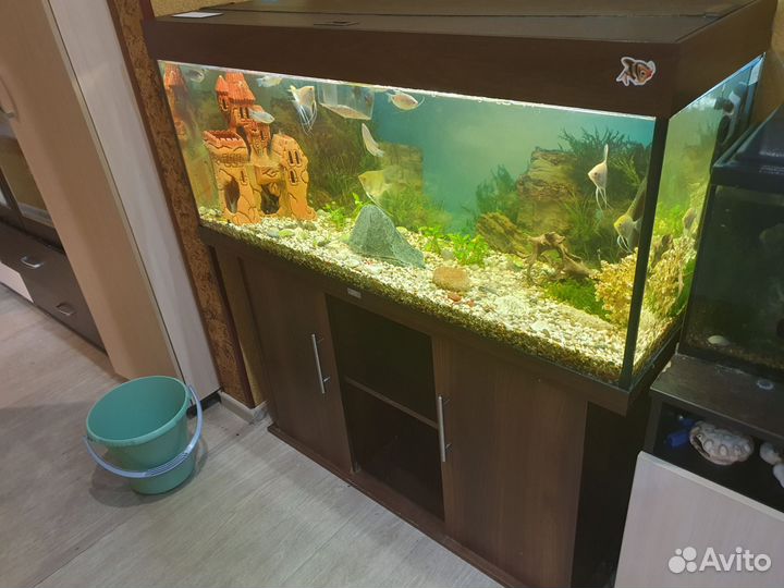 Украшение для аквариума