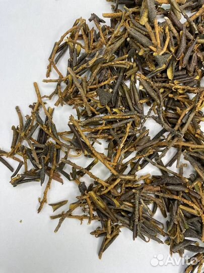 Чай Саган Дайля