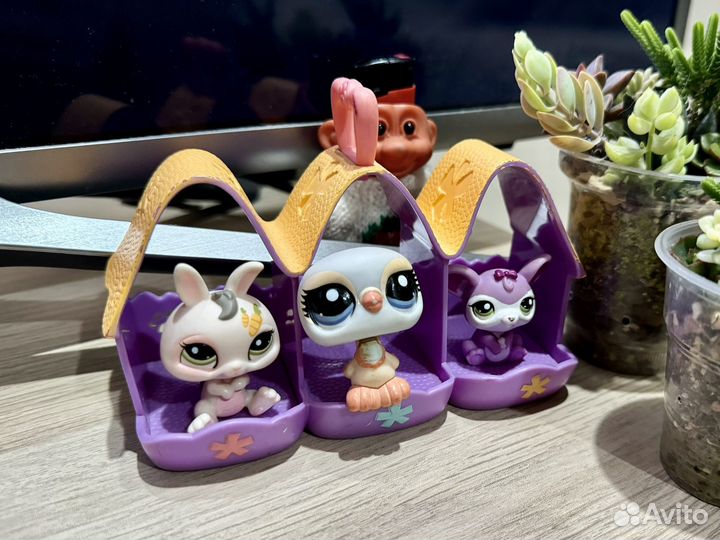 Littlest pet shop