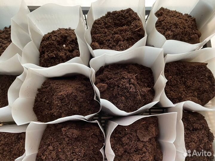 Пакеты для рассады 0,9 литра