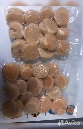 Гребешок Сахалин