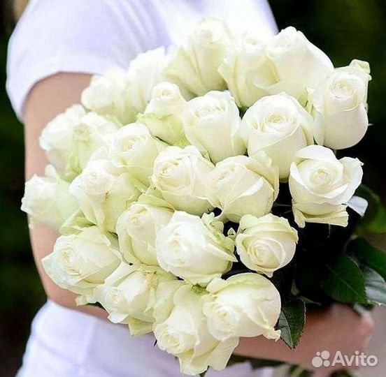 Высокие Розы Гиганты Доставка Круглосуточно