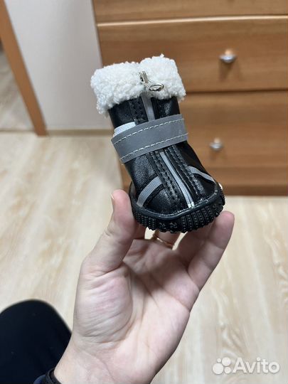 Обувь для средних собак