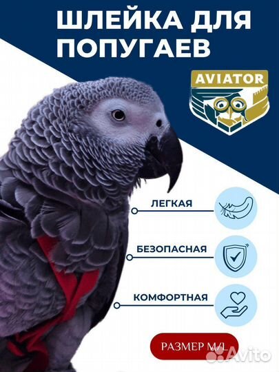 Американская шлейка для попугаев Авиатор