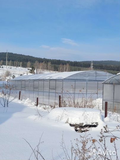 Теплицы, дуги