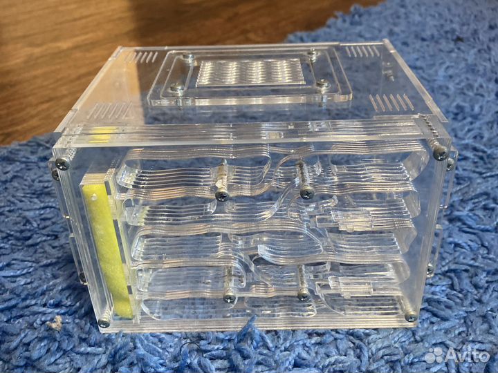 Формикарий муравьиная ферма