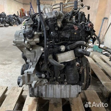 Двигатель Volkswagen Transporter T6 2017 CXG 2.0 д