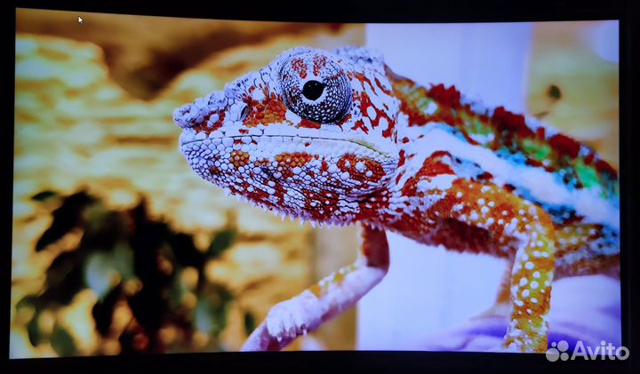 Smart LED UHD телевизор Samsung 49 дюймов