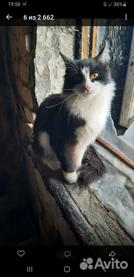 Мальчик очень ласковый