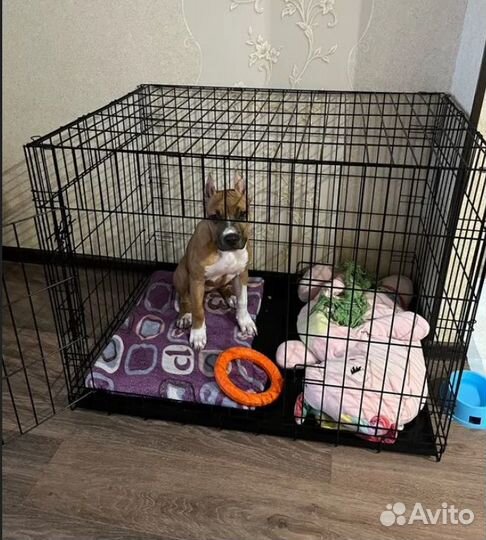 Клетка для собак и кошек №5, сделано в россии