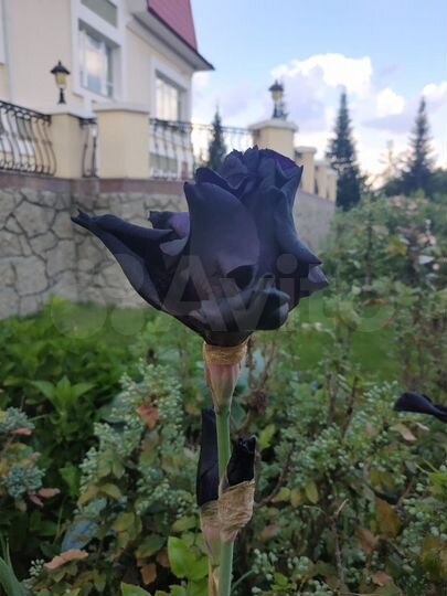 Дом 650 м² на участке 45 сот.