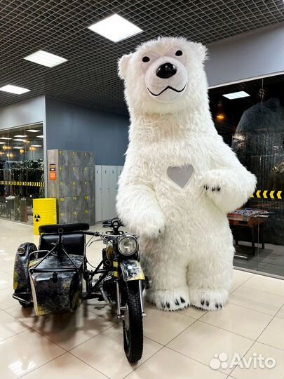 Белый медведь поздравление аниматор белый мишка