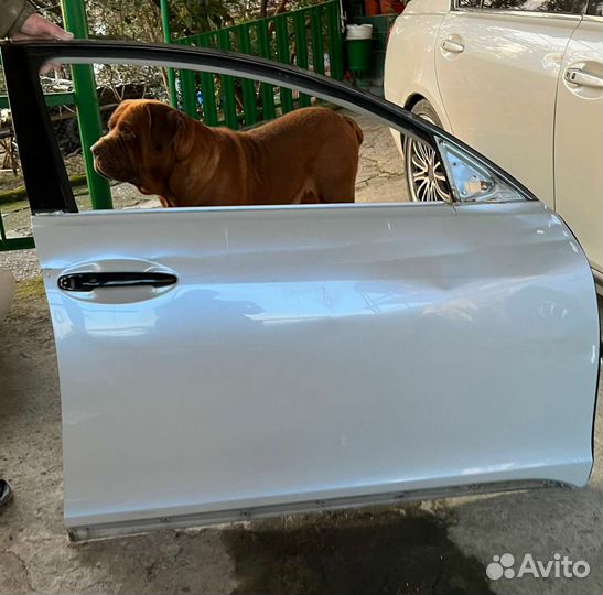 Крыло и дверь lexus gs