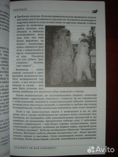 Собака 