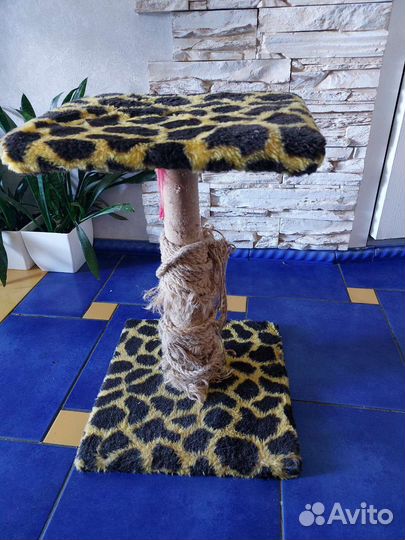 Когтеточка