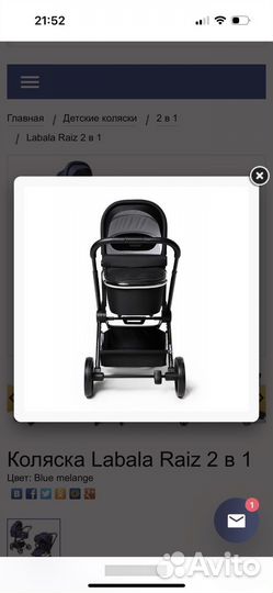 Коляска Labala Raiz 2 в 1