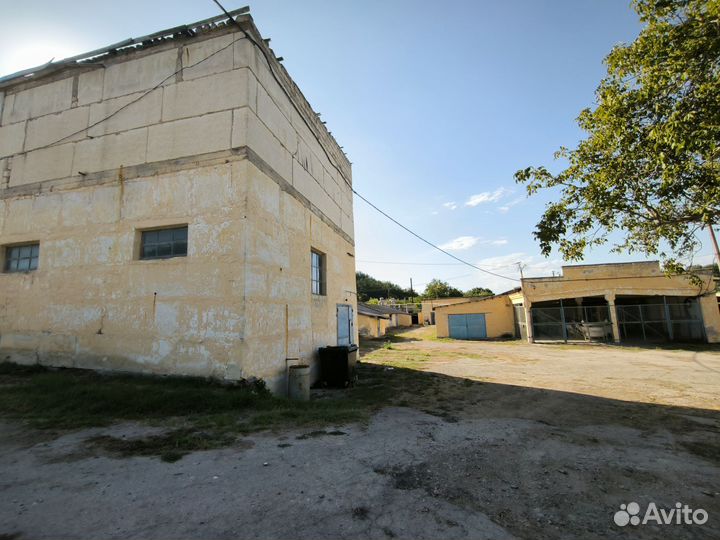 Инвестиции в винодельню/ консервацию фруктов